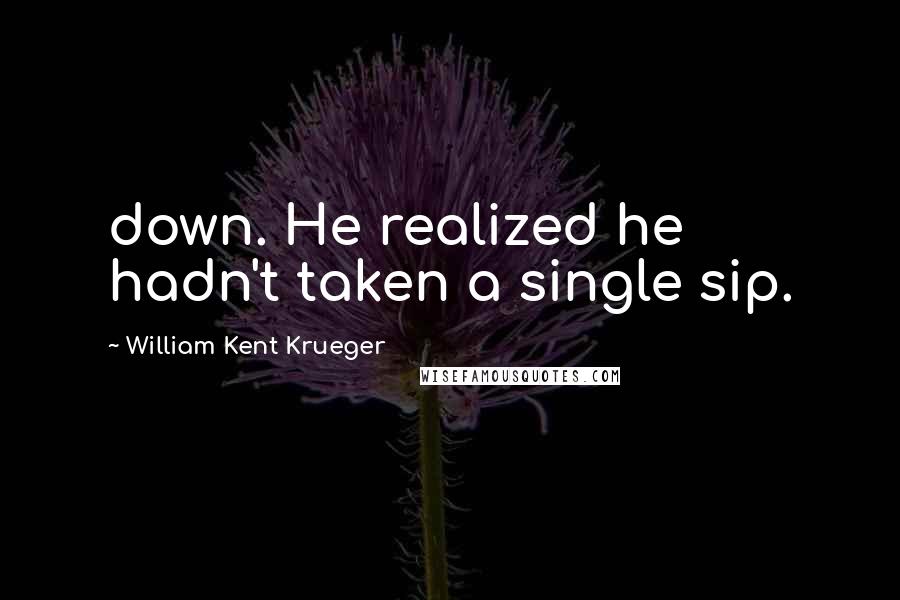 William Kent Krueger Quotes: down. He realized he hadn't taken a single sip.