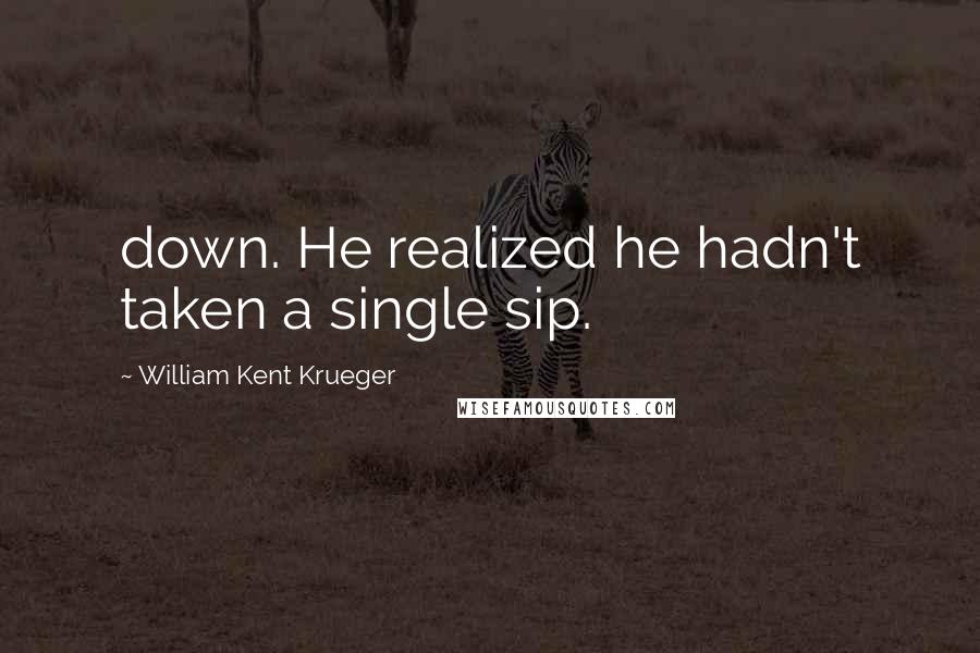 William Kent Krueger Quotes: down. He realized he hadn't taken a single sip.