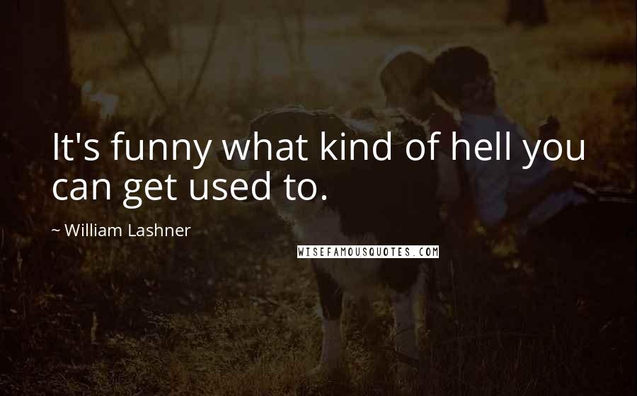 William Lashner Quotes: It's funny what kind of hell you can get used to.