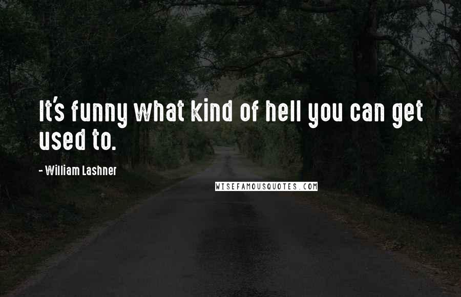 William Lashner Quotes: It's funny what kind of hell you can get used to.