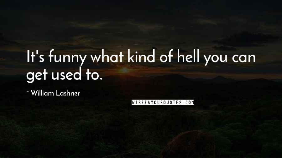 William Lashner Quotes: It's funny what kind of hell you can get used to.