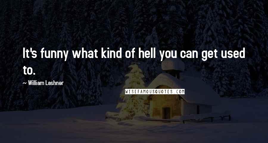 William Lashner Quotes: It's funny what kind of hell you can get used to.