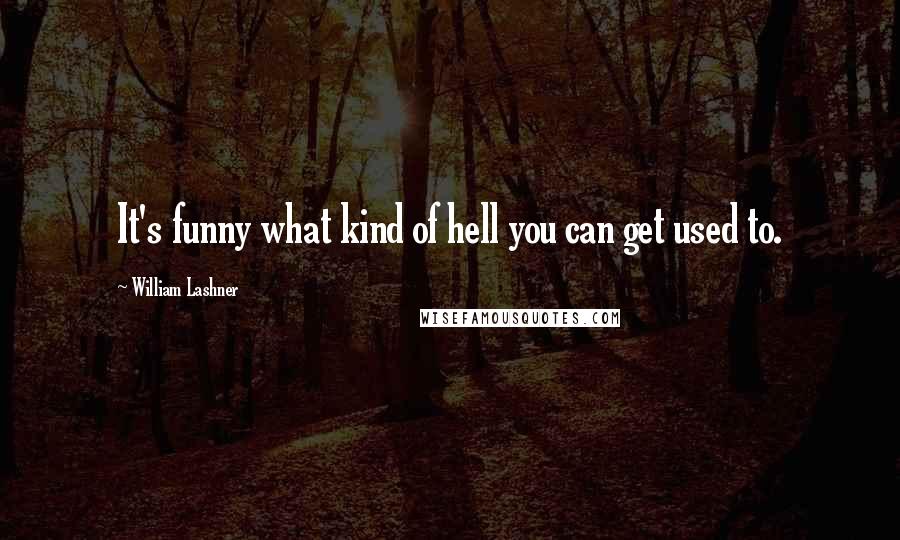 William Lashner Quotes: It's funny what kind of hell you can get used to.