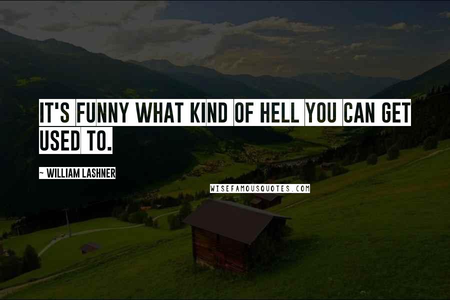 William Lashner Quotes: It's funny what kind of hell you can get used to.