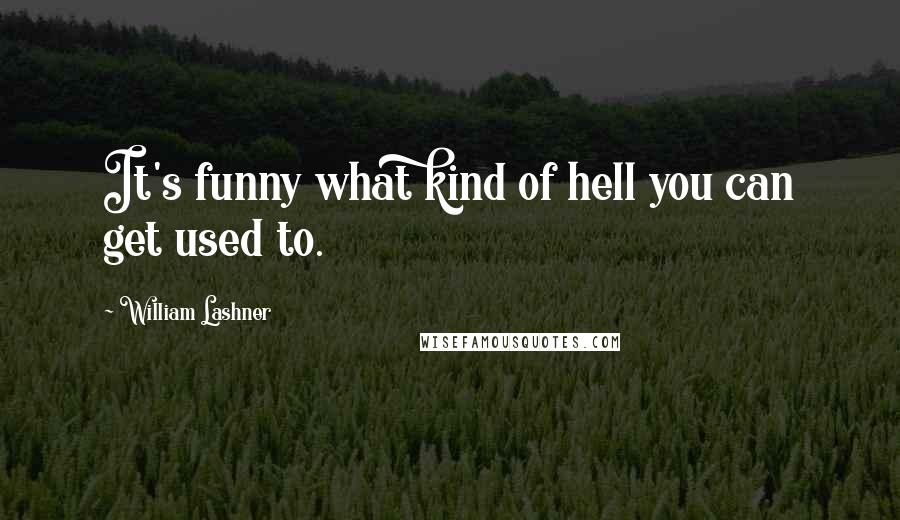 William Lashner Quotes: It's funny what kind of hell you can get used to.