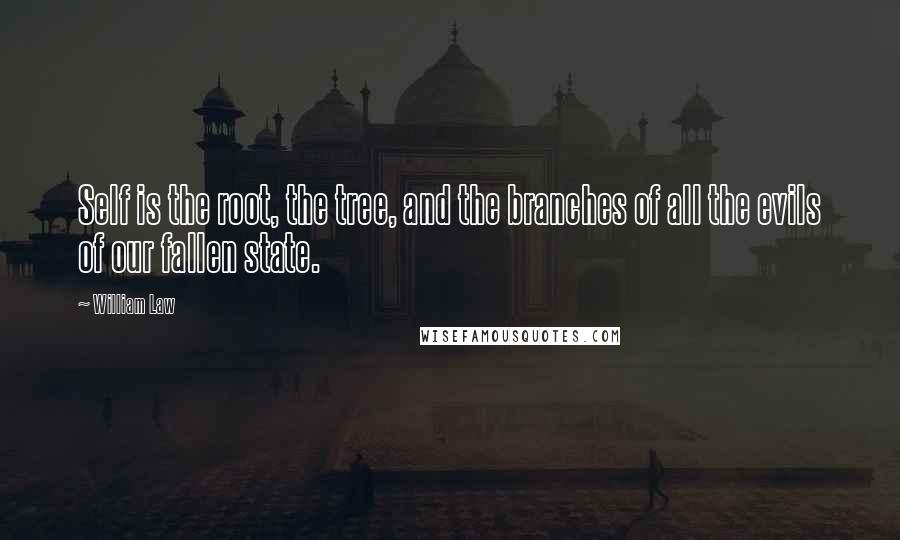 William Law Quotes: Self is the root, the tree, and the branches of all the evils of our fallen state.