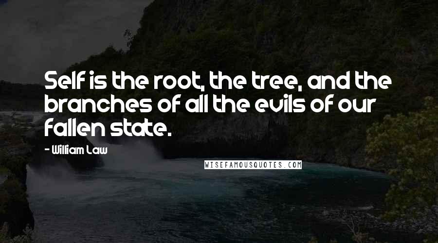William Law Quotes: Self is the root, the tree, and the branches of all the evils of our fallen state.