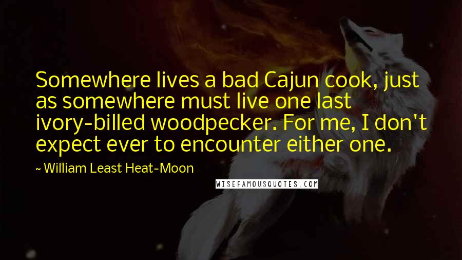 William Least Heat-Moon Quotes: Somewhere lives a bad Cajun cook, just as somewhere must live one last ivory-billed woodpecker. For me, I don't expect ever to encounter either one.