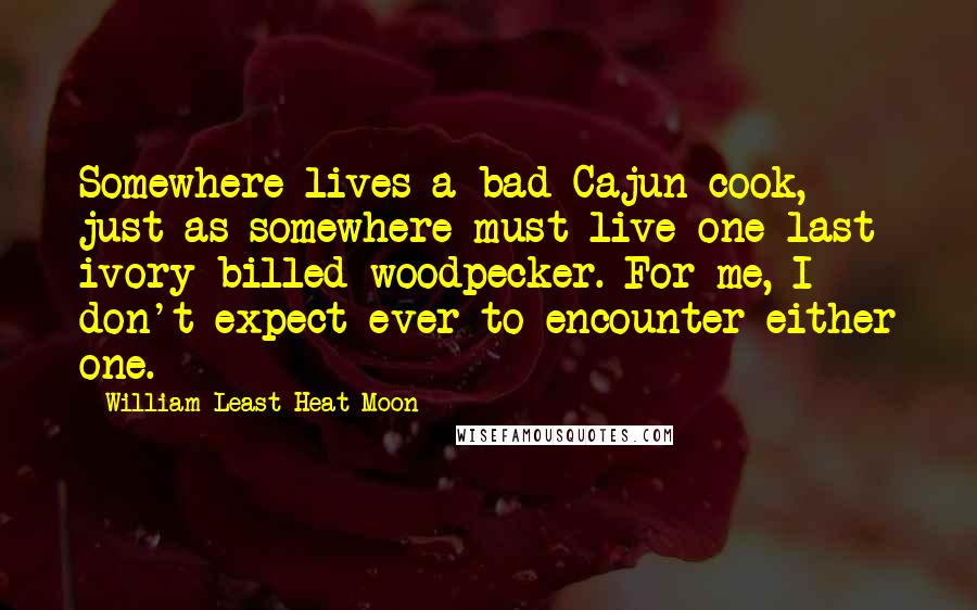William Least Heat-Moon Quotes: Somewhere lives a bad Cajun cook, just as somewhere must live one last ivory-billed woodpecker. For me, I don't expect ever to encounter either one.