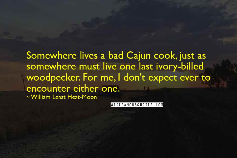 William Least Heat-Moon Quotes: Somewhere lives a bad Cajun cook, just as somewhere must live one last ivory-billed woodpecker. For me, I don't expect ever to encounter either one.