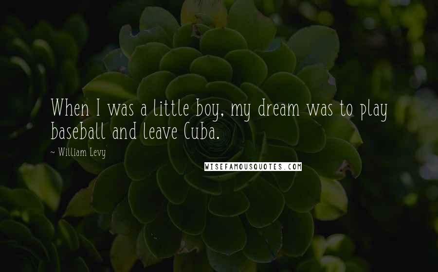 William Levy Quotes: When I was a little boy, my dream was to play baseball and leave Cuba.