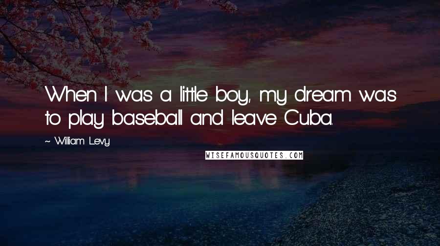 William Levy Quotes: When I was a little boy, my dream was to play baseball and leave Cuba.