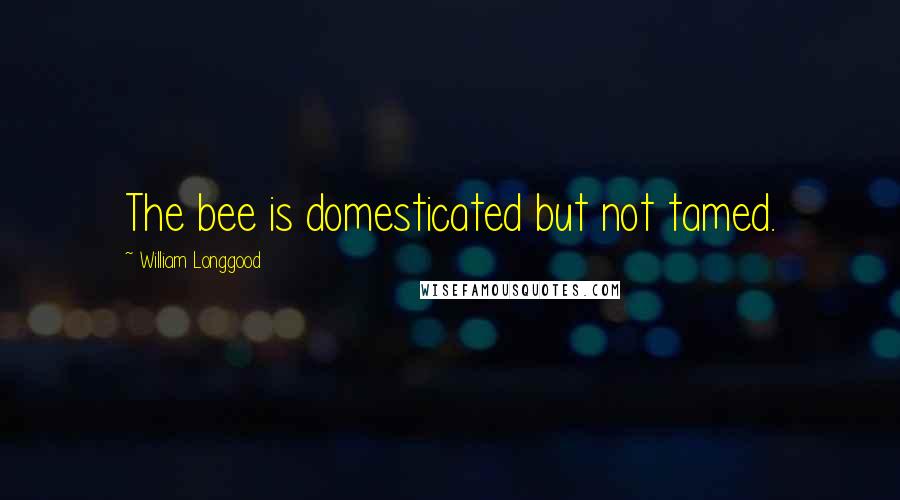 William Longgood Quotes: The bee is domesticated but not tamed.