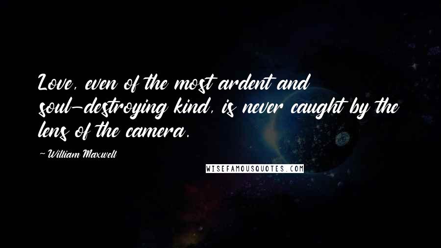 William Maxwell Quotes: Love, even of the most ardent and soul-destroying kind, is never caught by the lens of the camera.