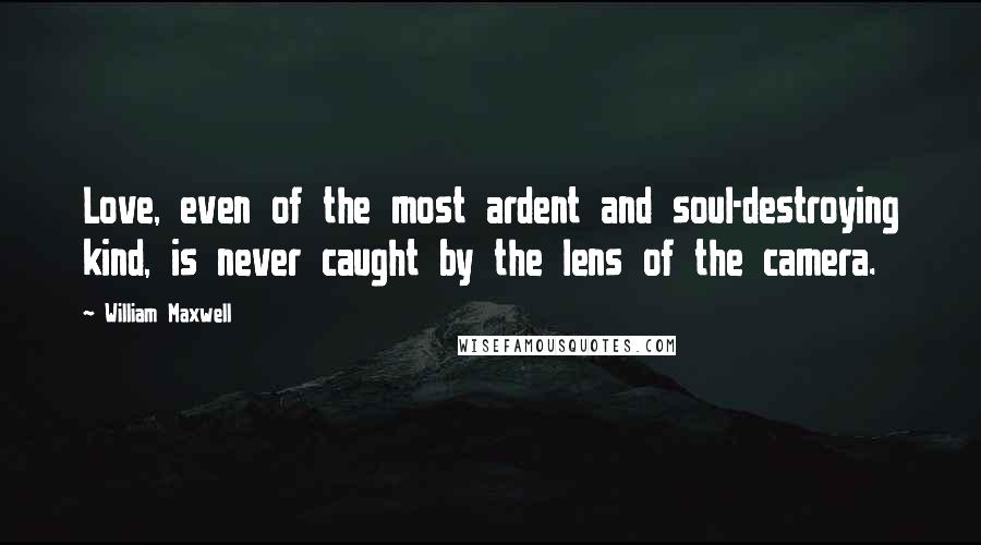 William Maxwell Quotes: Love, even of the most ardent and soul-destroying kind, is never caught by the lens of the camera.