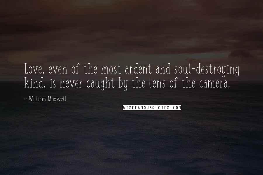 William Maxwell Quotes: Love, even of the most ardent and soul-destroying kind, is never caught by the lens of the camera.