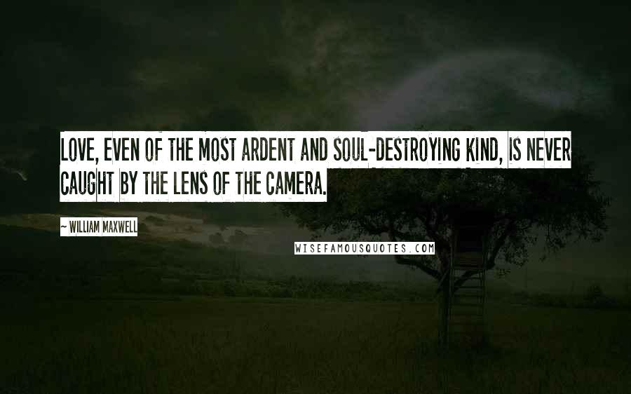 William Maxwell Quotes: Love, even of the most ardent and soul-destroying kind, is never caught by the lens of the camera.