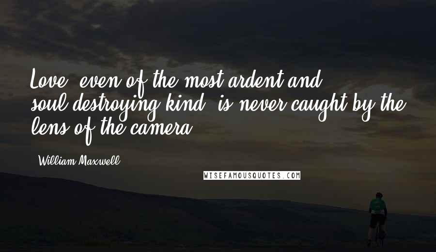 William Maxwell Quotes: Love, even of the most ardent and soul-destroying kind, is never caught by the lens of the camera.