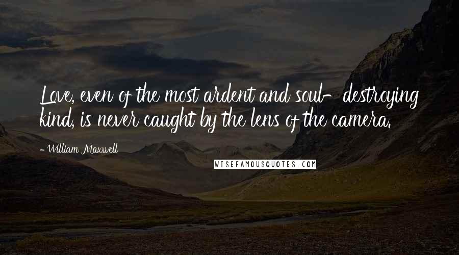 William Maxwell Quotes: Love, even of the most ardent and soul-destroying kind, is never caught by the lens of the camera.