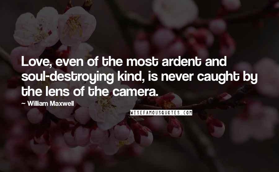 William Maxwell Quotes: Love, even of the most ardent and soul-destroying kind, is never caught by the lens of the camera.