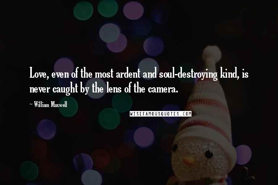 William Maxwell Quotes: Love, even of the most ardent and soul-destroying kind, is never caught by the lens of the camera.