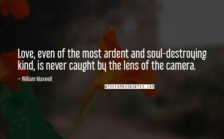 William Maxwell Quotes: Love, even of the most ardent and soul-destroying kind, is never caught by the lens of the camera.