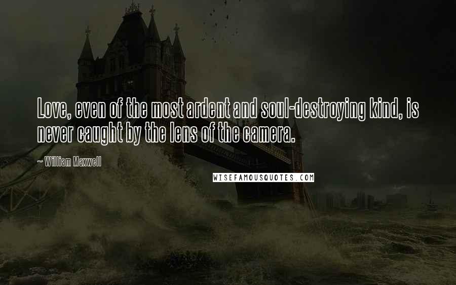 William Maxwell Quotes: Love, even of the most ardent and soul-destroying kind, is never caught by the lens of the camera.