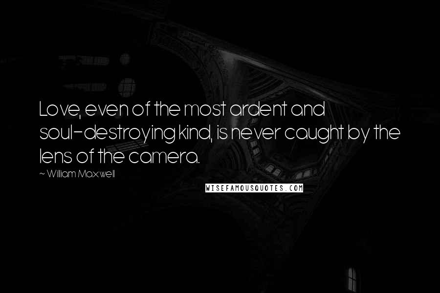 William Maxwell Quotes: Love, even of the most ardent and soul-destroying kind, is never caught by the lens of the camera.
