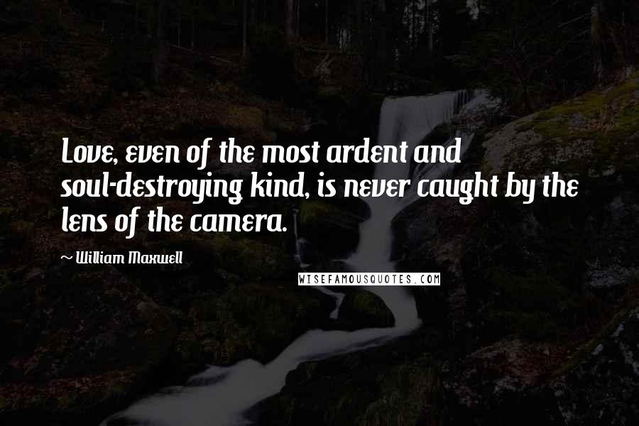 William Maxwell Quotes: Love, even of the most ardent and soul-destroying kind, is never caught by the lens of the camera.