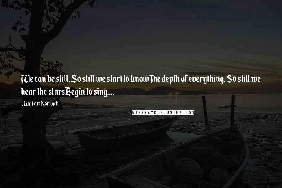 William Norwich Quotes: We can be still, So still we start to knowThe depth of everything, So still we hear the starsBegin to sing....