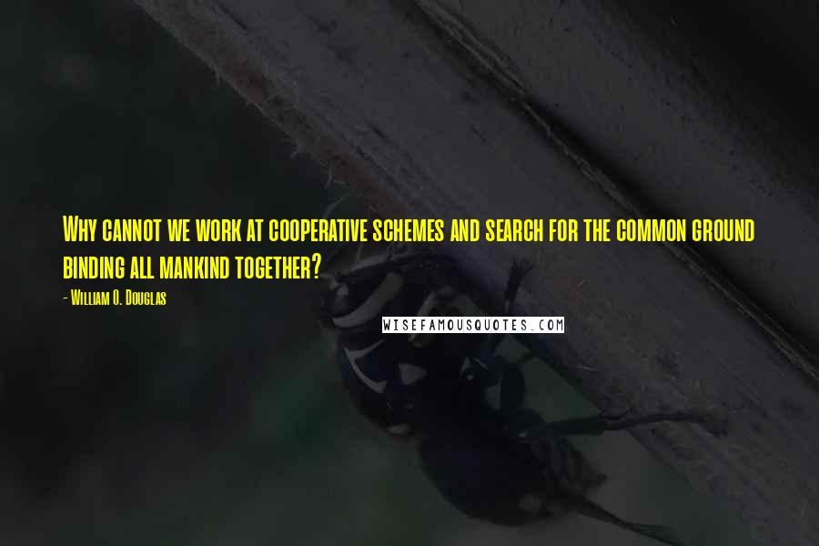 William O. Douglas Quotes: Why cannot we work at cooperative schemes and search for the common ground binding all mankind together?