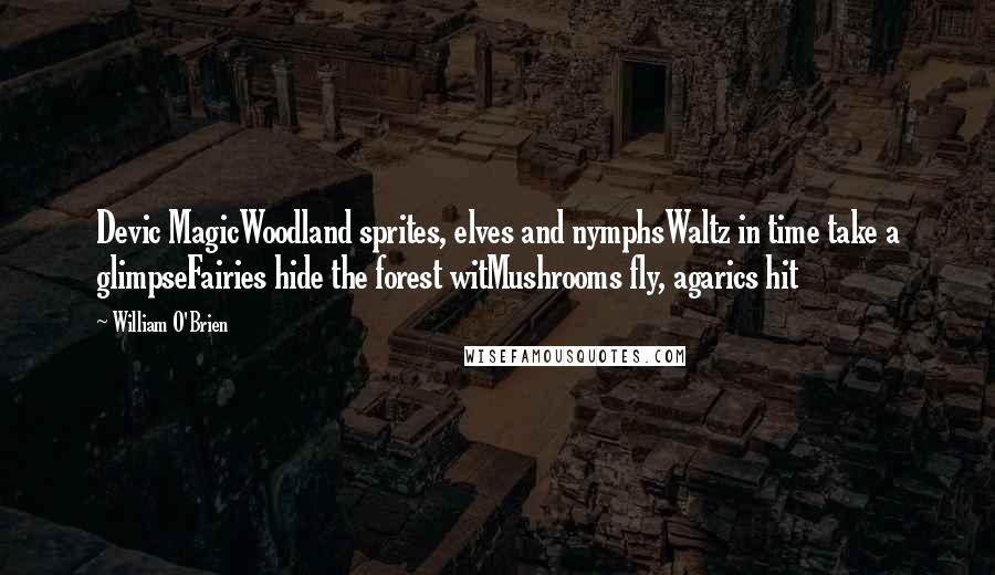 William O'Brien Quotes: Devic MagicWoodland sprites, elves and nymphsWaltz in time take a glimpseFairies hide the forest witMushrooms fly, agarics hit