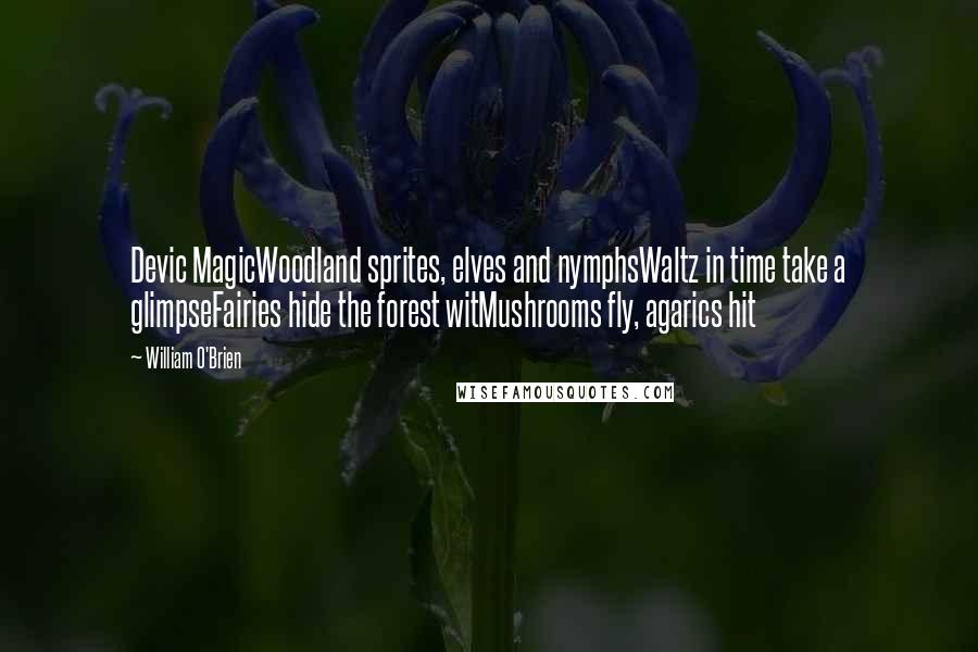 William O'Brien Quotes: Devic MagicWoodland sprites, elves and nymphsWaltz in time take a glimpseFairies hide the forest witMushrooms fly, agarics hit