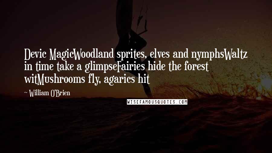 William O'Brien Quotes: Devic MagicWoodland sprites, elves and nymphsWaltz in time take a glimpseFairies hide the forest witMushrooms fly, agarics hit