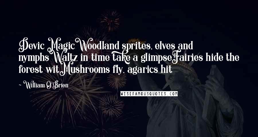 William O'Brien Quotes: Devic MagicWoodland sprites, elves and nymphsWaltz in time take a glimpseFairies hide the forest witMushrooms fly, agarics hit