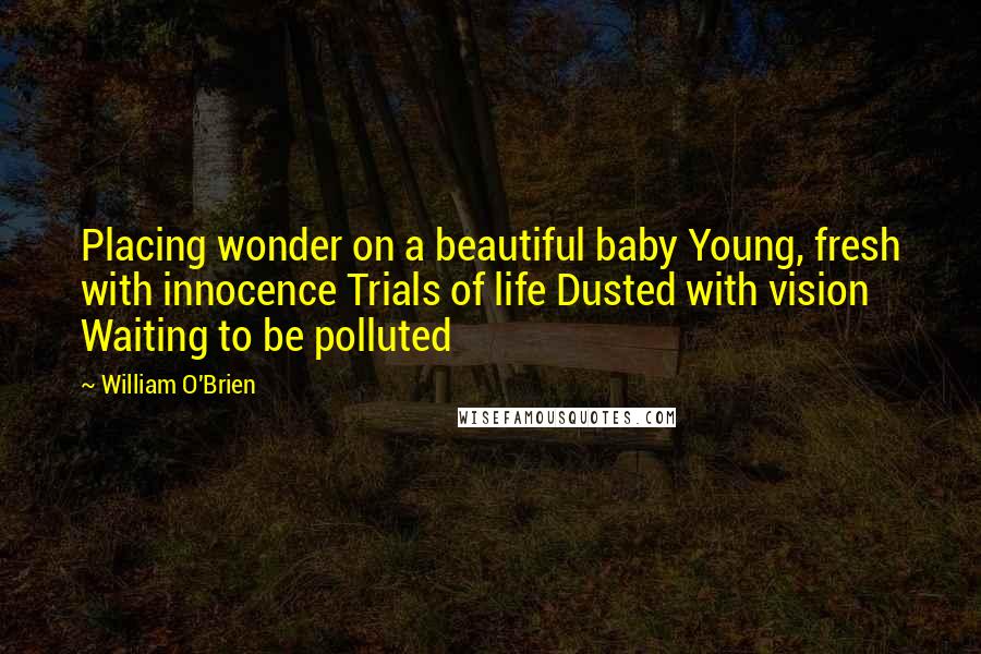 William O'Brien Quotes: Placing wonder on a beautiful baby Young, fresh with innocence Trials of life Dusted with vision Waiting to be polluted