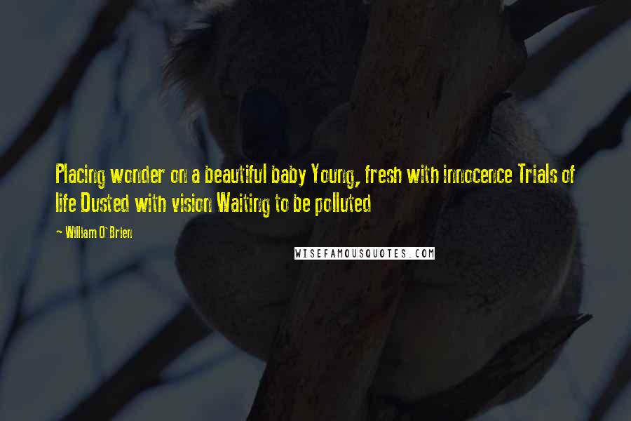 William O'Brien Quotes: Placing wonder on a beautiful baby Young, fresh with innocence Trials of life Dusted with vision Waiting to be polluted