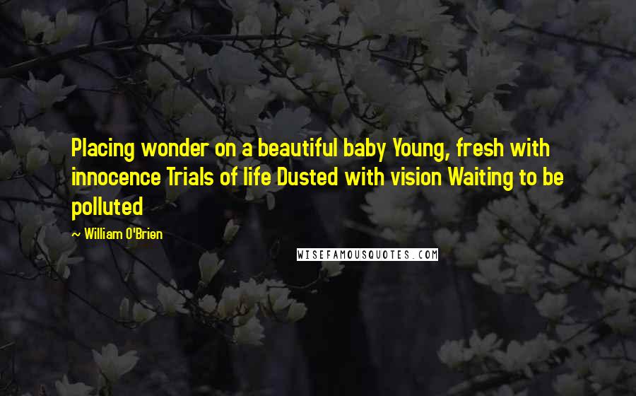 William O'Brien Quotes: Placing wonder on a beautiful baby Young, fresh with innocence Trials of life Dusted with vision Waiting to be polluted