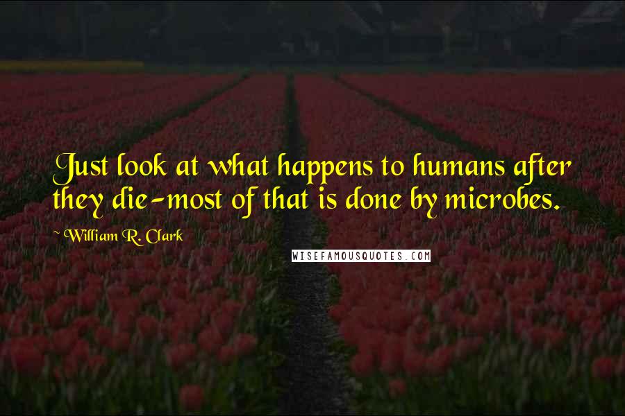 William R. Clark Quotes: Just look at what happens to humans after they die-most of that is done by microbes.