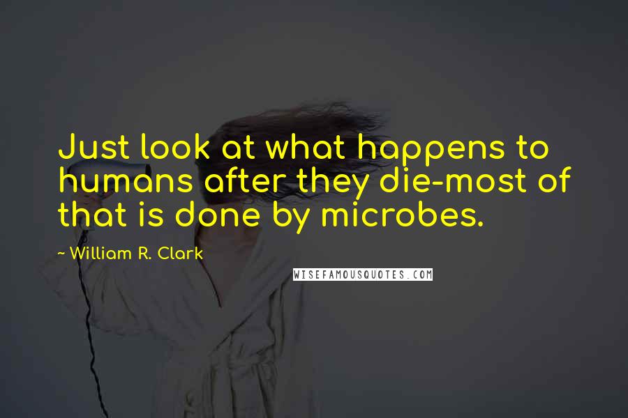 William R. Clark Quotes: Just look at what happens to humans after they die-most of that is done by microbes.