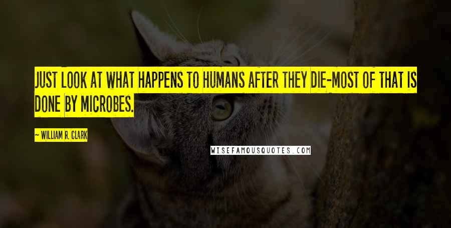 William R. Clark Quotes: Just look at what happens to humans after they die-most of that is done by microbes.