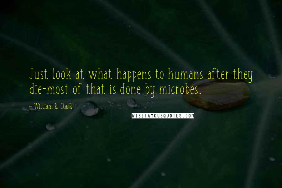 William R. Clark Quotes: Just look at what happens to humans after they die-most of that is done by microbes.