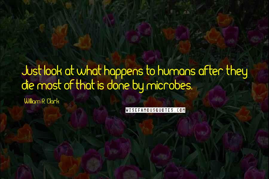 William R. Clark Quotes: Just look at what happens to humans after they die-most of that is done by microbes.