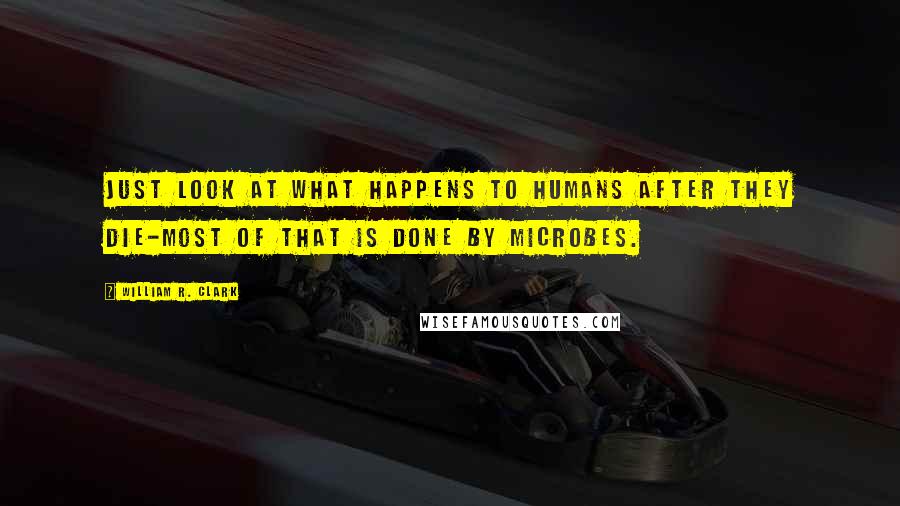 William R. Clark Quotes: Just look at what happens to humans after they die-most of that is done by microbes.