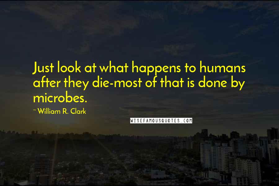 William R. Clark Quotes: Just look at what happens to humans after they die-most of that is done by microbes.