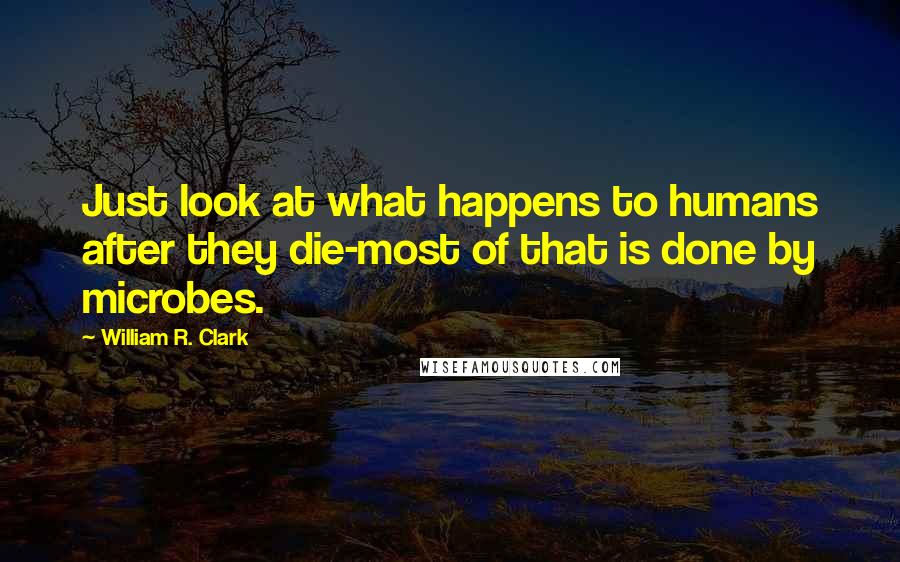 William R. Clark Quotes: Just look at what happens to humans after they die-most of that is done by microbes.