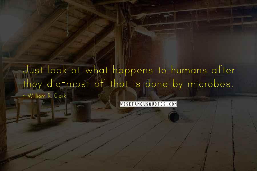 William R. Clark Quotes: Just look at what happens to humans after they die-most of that is done by microbes.