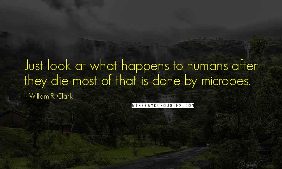 William R. Clark Quotes: Just look at what happens to humans after they die-most of that is done by microbes.