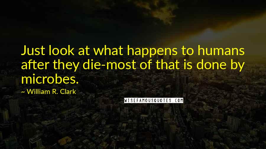 William R. Clark Quotes: Just look at what happens to humans after they die-most of that is done by microbes.