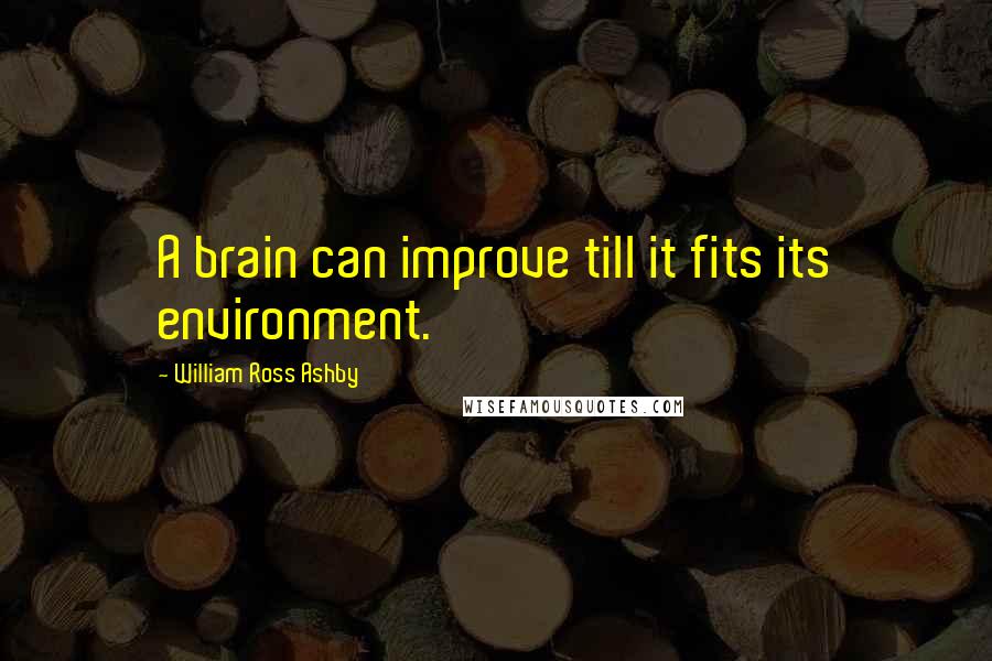 William Ross Ashby Quotes: A brain can improve till it fits its environment.